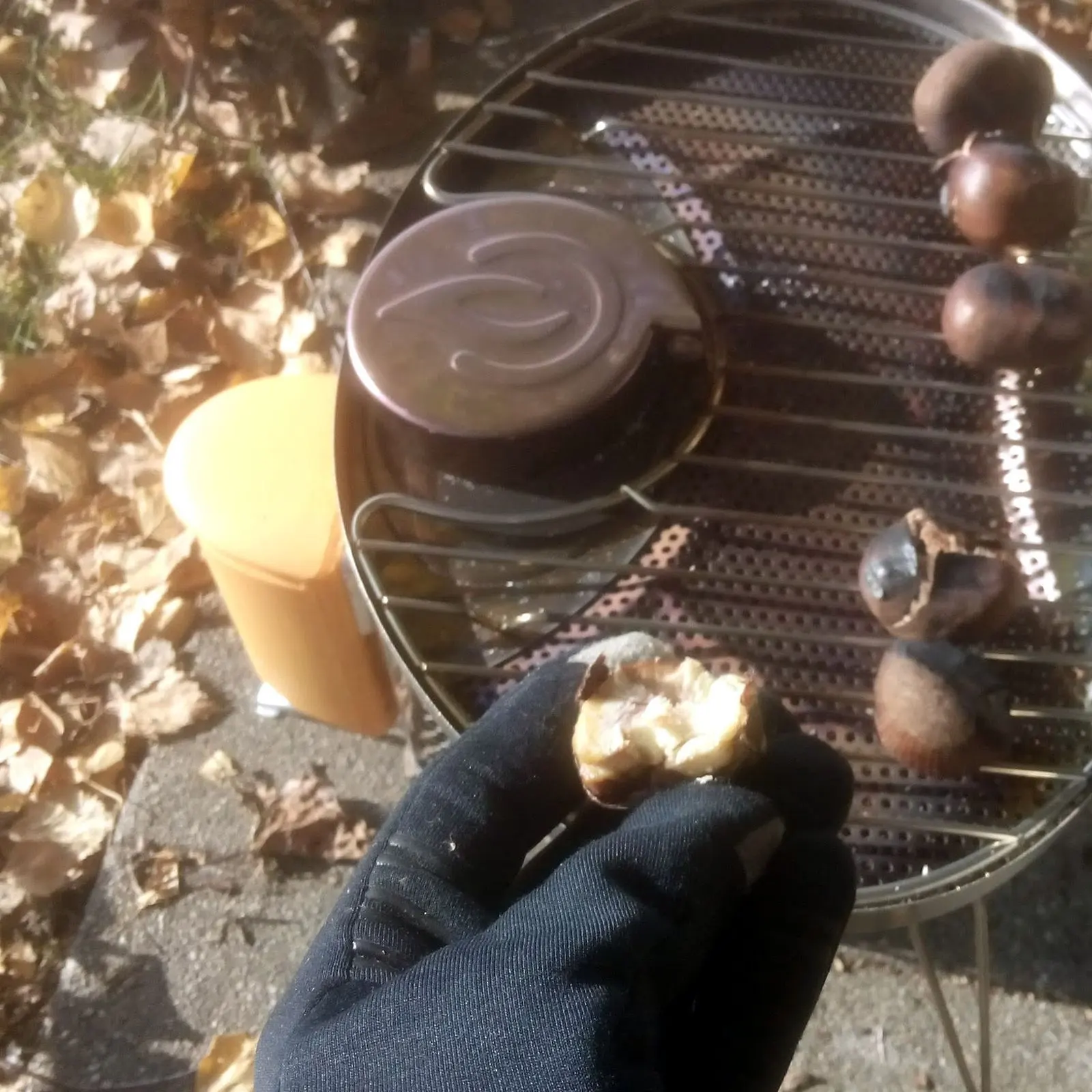 Grilling chestnuts