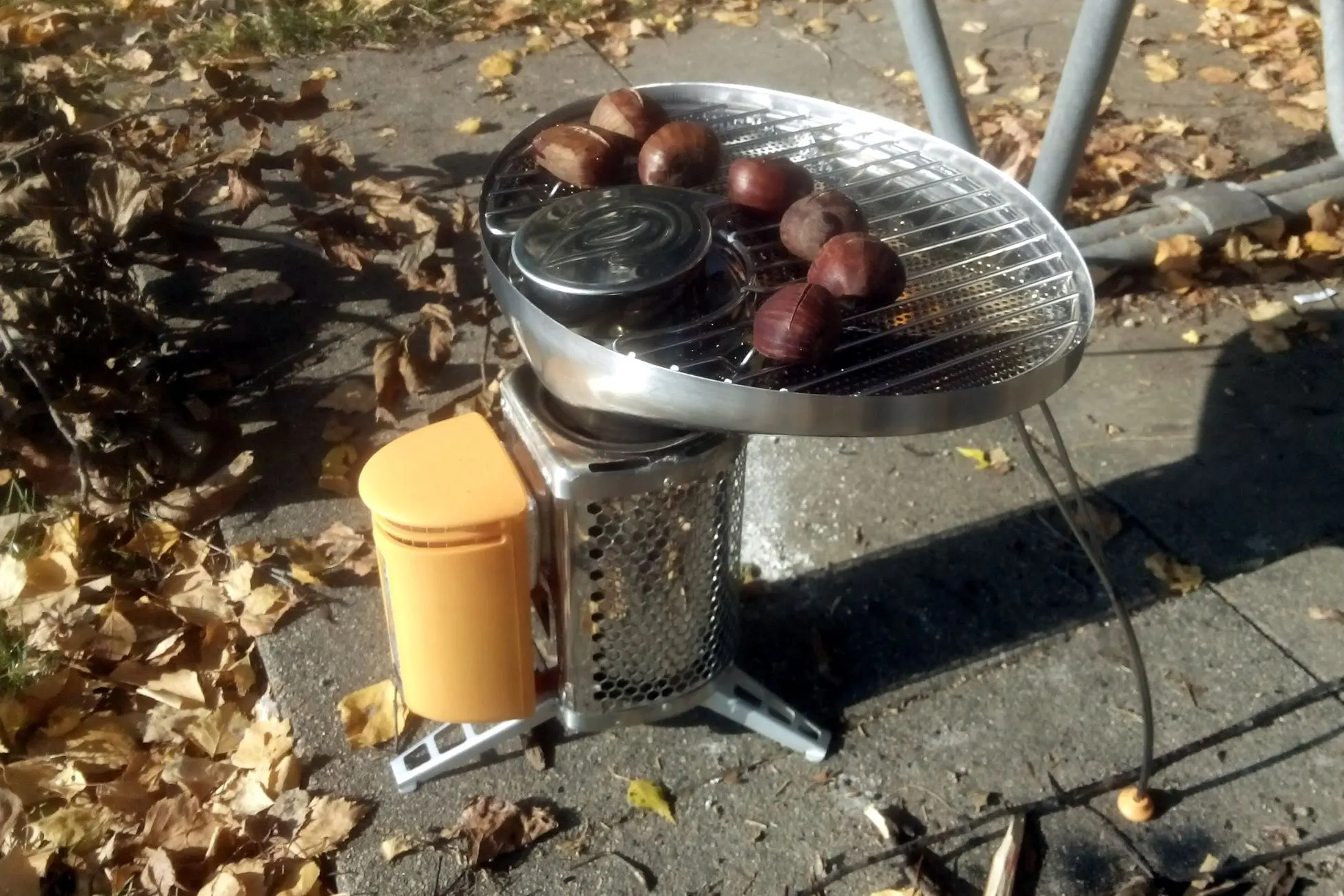 Grilling chestnuts