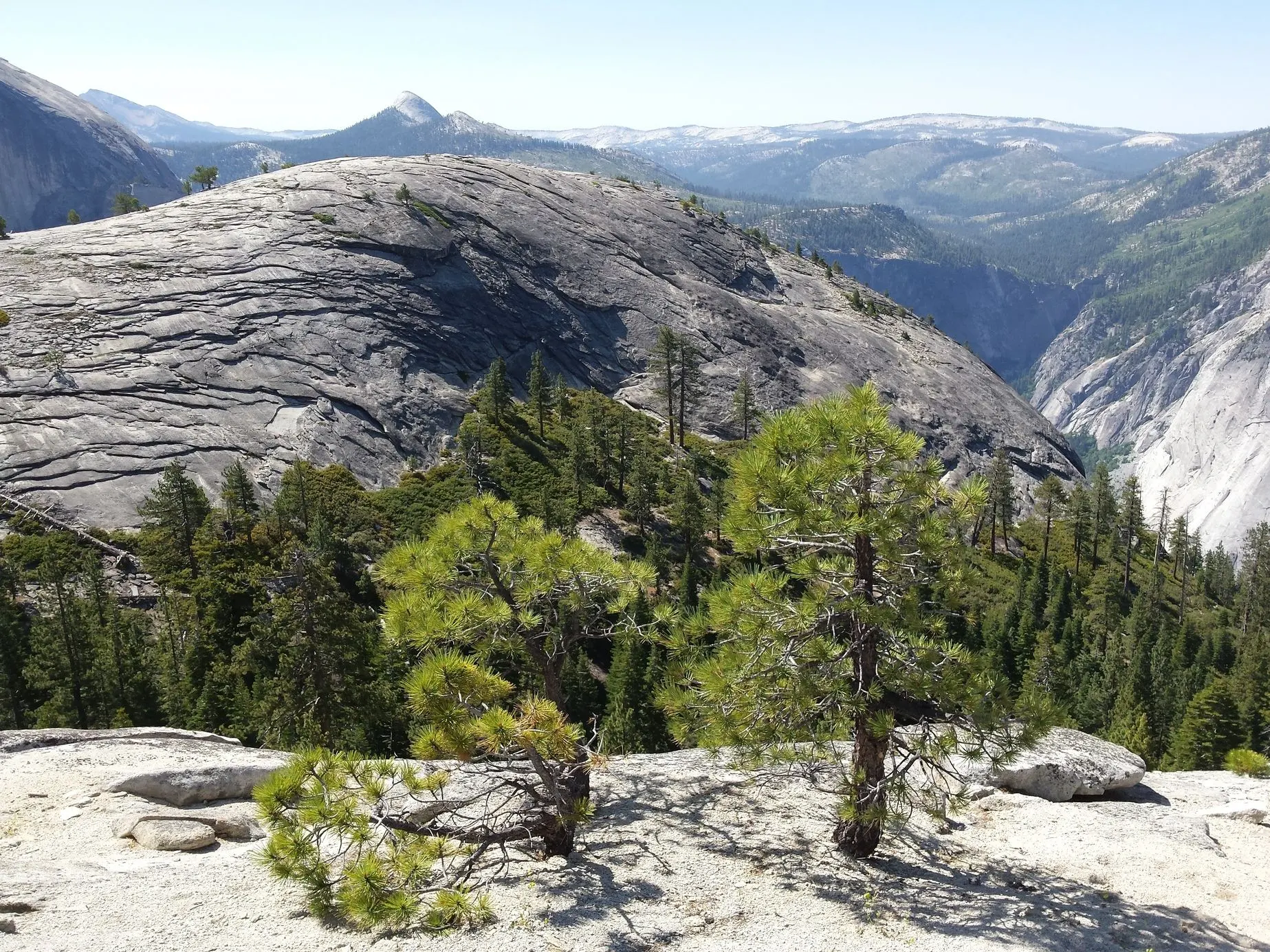 Yosemite valley view